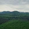 Le parc naturel régional des Vosges du Nord et ses châteaux troglodytes