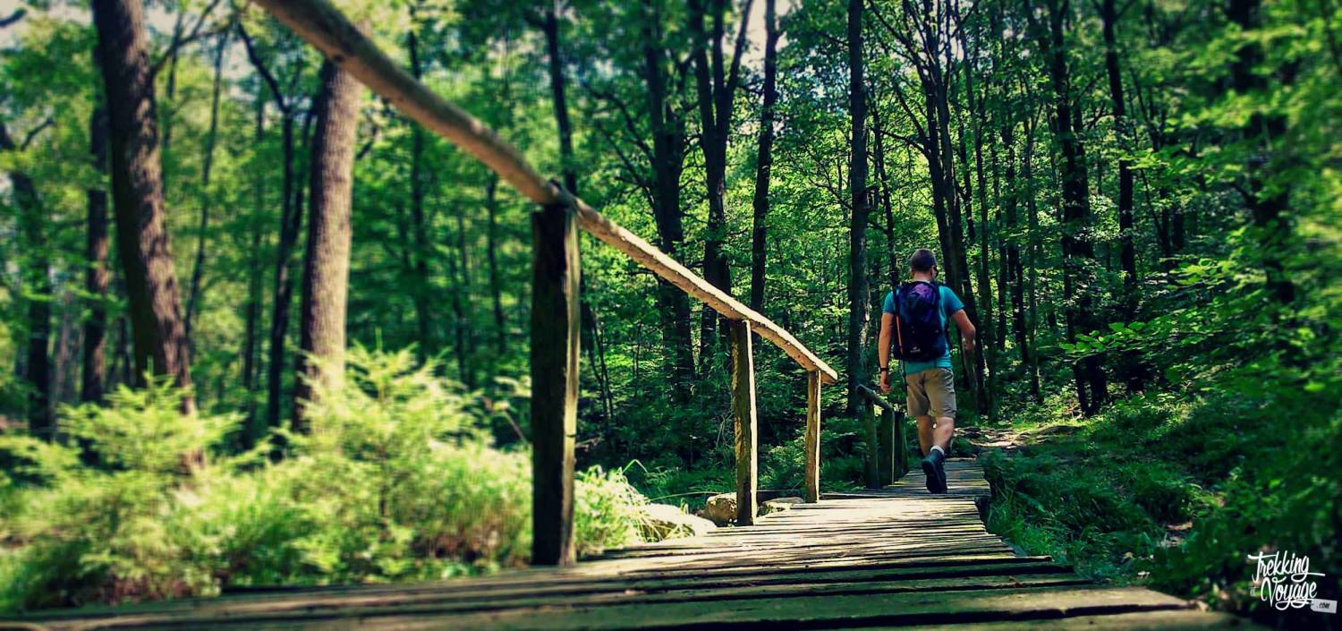Randonner dans une Belgique somptueuse • Trekking et Voyage