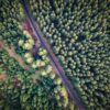 MicroAventure près des Hautes Fagnes (Hertogenwald)