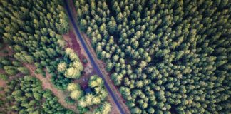 MicroAventure près des Hautes Fagnes (Hertogenwald)