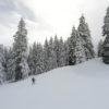 Expérience 100% WILD aux Portes du Soleil