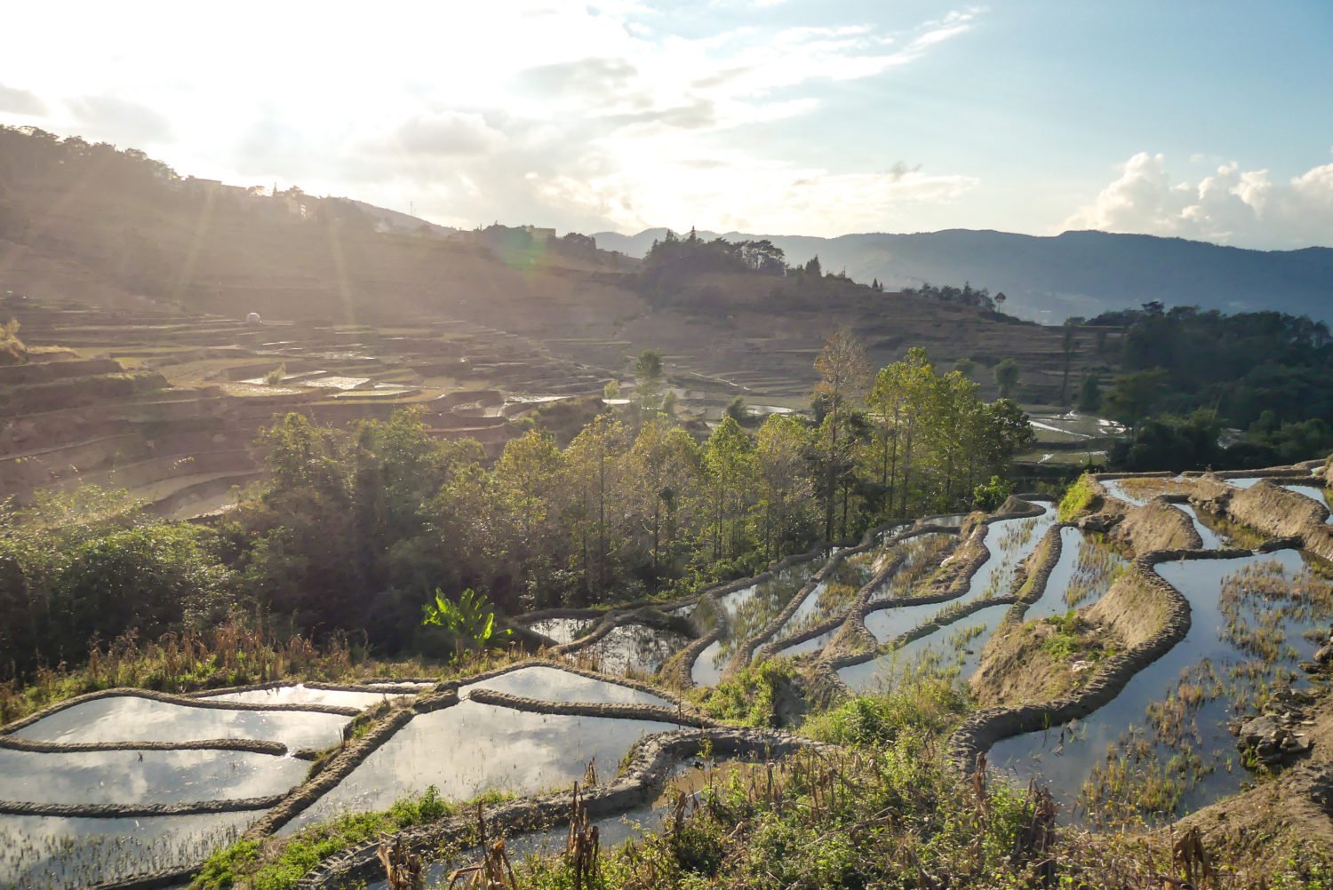 Les Rizières en terrasse de Yuanyang au Yunnan