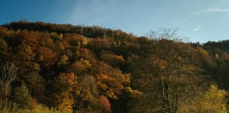 Rando et packraft dans la vallée de la Semois