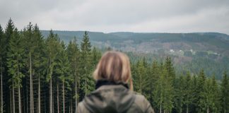 Balades et détente en Haute Ardenne
