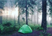 Bivouac en Belgique : microaventure en pleine nature green dome tent