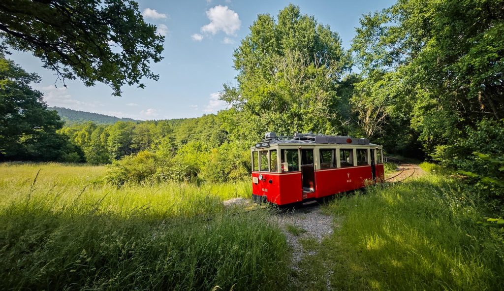 J'irai randonner chez vous !