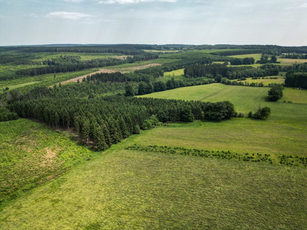 J'irai randonner chez vous !