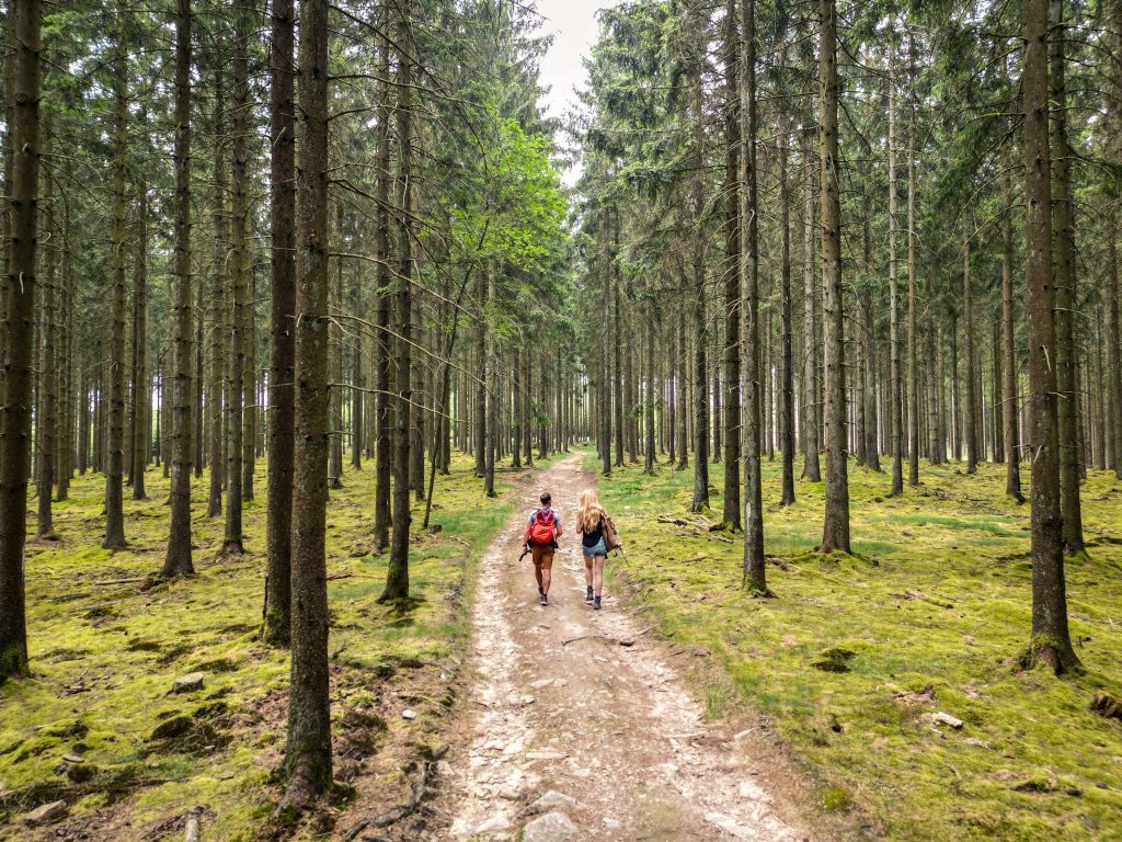J'irai randonner chez vous !