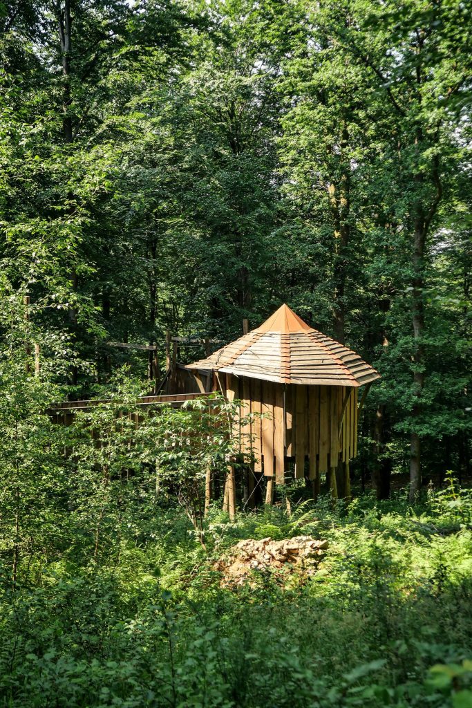 J'irai randonner chez vous !