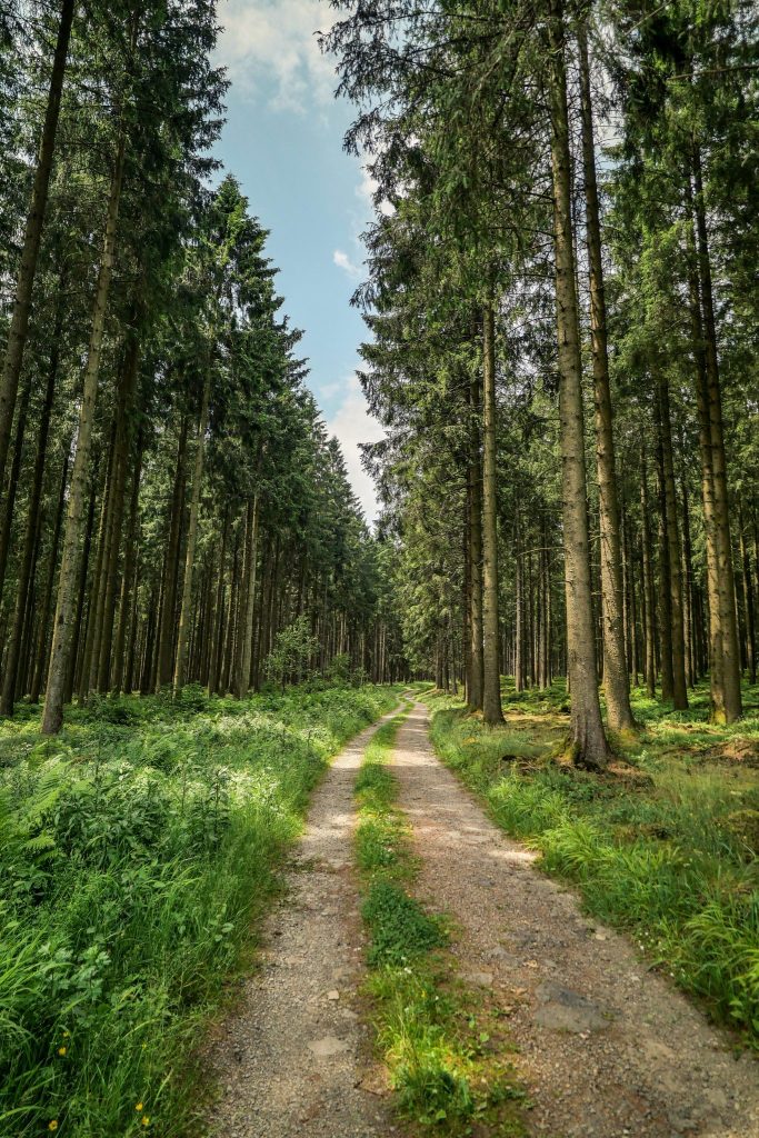 J'irai randonner chez vous !