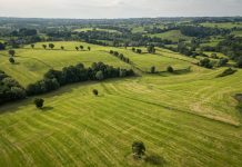 Pays de Herve : 10 choses à découvrir entre bocage, terroir et patrimoine