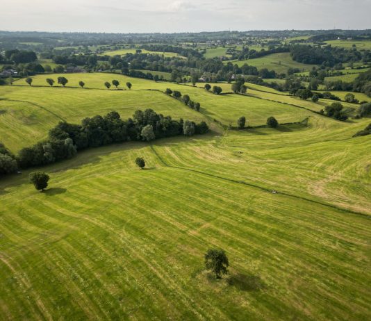 Pays de Herve : 10 choses à découvrir entre bocage, terroir et patrimoine